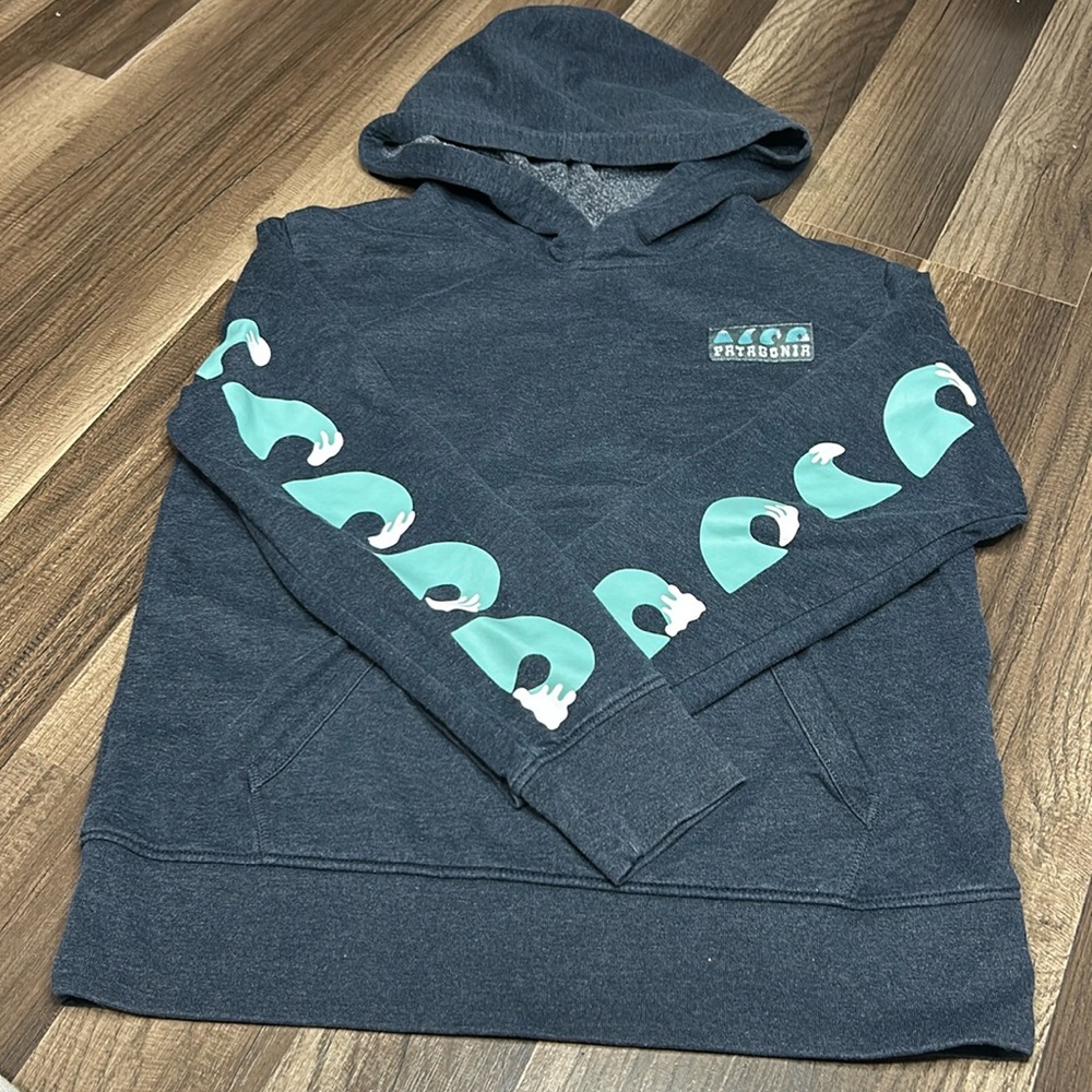 Patagonia Kids  Hoodie